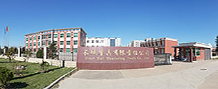 公司簡介